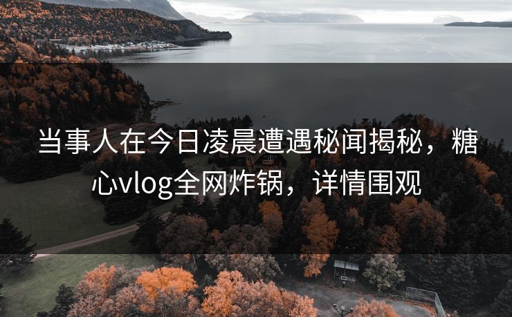 当事人在今日凌晨遭遇秘闻揭秘,糖心vlog全网炸锅,详情围观