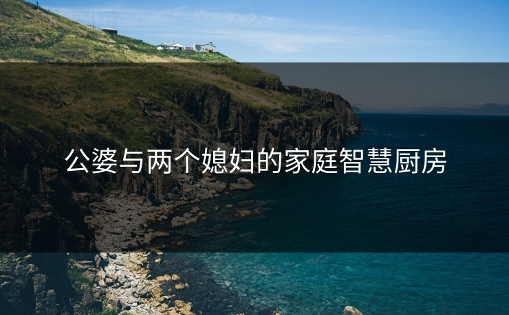 公婆与两个媳妇的家庭智慧厨房